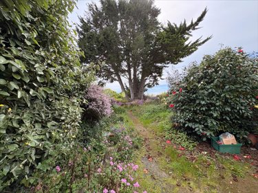 Maison a vendre Lanmodez 22610 Côtes-d'Armor 35 m2 1 pièce 90250 euros