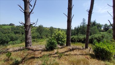 Maison a vendre Plounévézel 29270 Finistère 160 m2 6 pièces 189000 euros