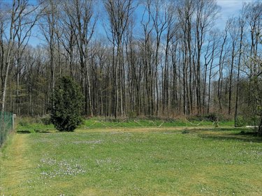 Maison a vendre Sepmes 37800 Indre-et-Loire 83 m2 3 pièces 152250 euros