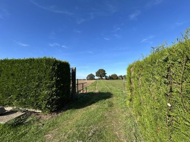 Terrains de loisirs bois etangs a vendre Corps-Nuds 35150 Ille-et-Vilaine 7700 m2  18000 euros