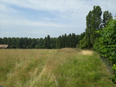 Terrain a batir a vendre Marigné-Laillé 72220 Sarthe 566 m2  23800 euros