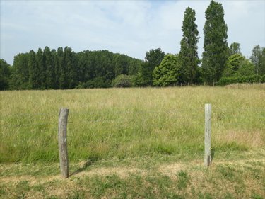 Terrain a batir a vendre Marigné-Laillé 72220 Sarthe 566 m2  23800 euros