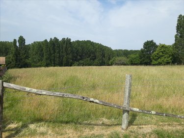 Terrain a batir a vendre Marigné-Laillé 72220 Sarthe 1215 m2  33800 euros
