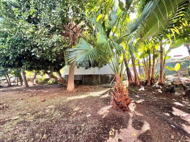 Maison a vendre Le Tampon 97430 Réunion 85 m2 5 pièces 335000 euros