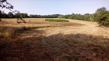 Bien agricole a vendre Pruillé-l'Éguillé 72150 Sarthe  28800 euros