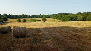Bien agricole a vendre Pruillé-l'Éguillé 72150 Sarthe  28800 euros