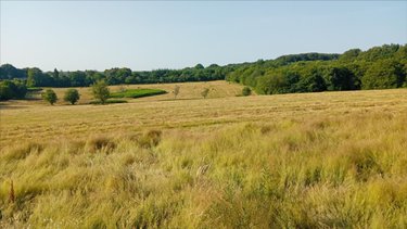Bien agricole a vendre Pruillé-l'Éguillé 72150 Sarthe  28800 euros