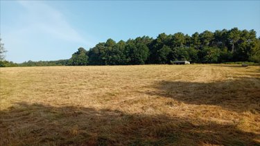 Bien agricole a vendre Pruillé-l'Éguillé 72150 Sarthe  28800 euros