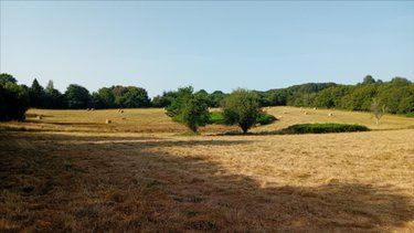 Bien agricole a vendre Pruillé-l'Éguillé 72150 Sarthe  28800 euros