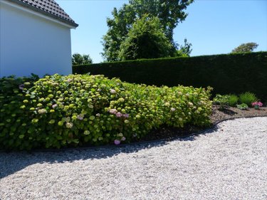 Maison a vendre Gouville-sur-Mer 50560 Manche 108 m2 6 pièces 336320 euros