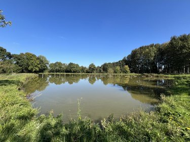 Terrains de loisirs bois etangs a vendre Caulnes 22350 Côtes-d'Armor 17094 m2  53490 euros