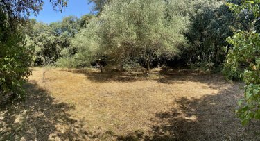 Terrain a batir a vendre Castries 34160 Hérault 800 m2  359850 euros