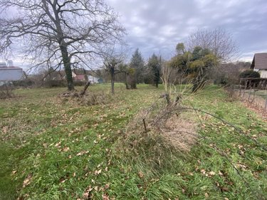 Terrain a batir a vendre Courtenay 45320 Loiret 3150 m2  82080 euros