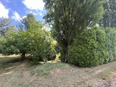 Terrains de loisirs bois etangs a vendre Parçay-sur-Vienne 37220 Indre-et-Loire 7760 m2  23600 euros
