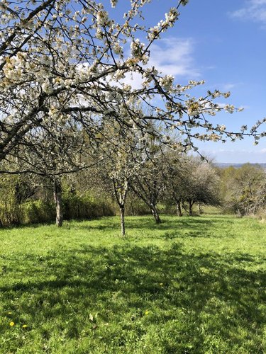 Maison a vendre Ambronay 01500 Ain 30 m2 2 pièces 55000 euros