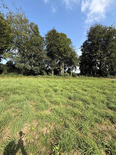 Terrain a batir a vendre Yvetot 76190 Seine-Maritime 1100 m2  110000 euros