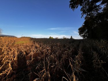 Terrain a batir a vendre Saint-Romain-sur-Cher 41140 Loir-et-Cher 9233 m2  33000 euros