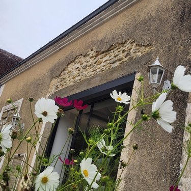 Maison a vendre La Chapelle-Souëf 61130 Orne 110 m2  179920 euros