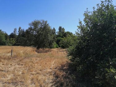 Terrains de loisirs bois etangs a vendre Abilly 37160 Indre-et-Loire 3420 m2  6500 euros