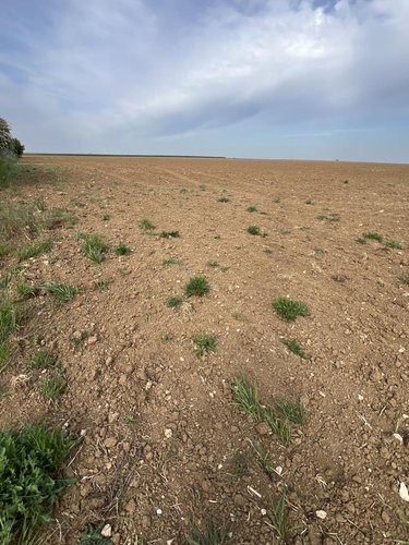 Terrain a batir a vendre Binas 41240 Loir-et-Cher 1104 m2  28000 euros