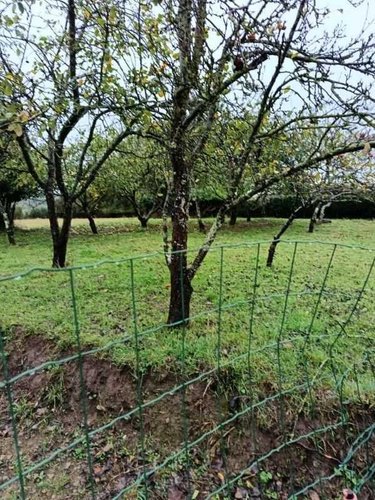 Terrain a batir a vendre Saint-Amand-Villages 50160 Manche 431 m2  15000 euros