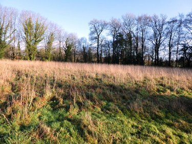 Terrains de loisirs bois etangs a vendre Locmalo 56160 Morbihan 4900 m2  26650 euros