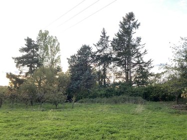 Terrain a batir a vendre Longuenée-en-Anjou 49770 Maine-et-Loire 543 m2  102284 euros