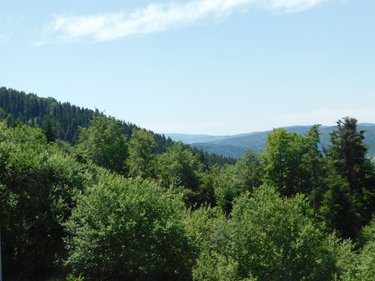 Appartement a vendre Plateau d'Hauteville 01110 Ain 96 m2  58000 euros