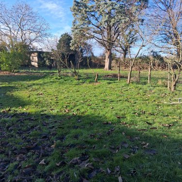 Maison a vendre Loire-Authion 49250 Maine-et-Loire 158 m2 7 pièces 244300 euros