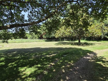 Maison a vendre Azé 53200 Mayenne 196 m2 7 pièces 332600 euros
