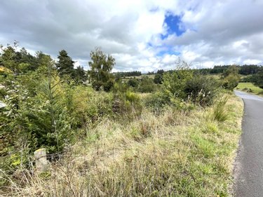 Terrains de loisirs bois etangs a vendre Fournels 48310 Lozère 1707 m2  6900 euros