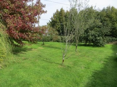 Maison a vendre Viessoix 14410 Calvados 89 m2 5 pièces 200400 euros