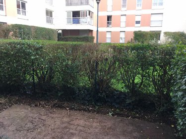 Location appartement Rennes 35000 Ille-et-Vilaine 46 m2 2 pièces 545 euros