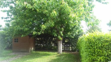 Location maison Orvault 44700 Loire-Atlantique 78 m2 4 pièces 1113 euros