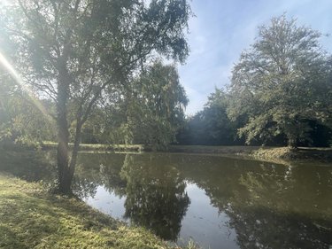 Terrains de loisirs bois etangs a vendre Lombron 72450 Sarthe 5800 m2  19800 euros