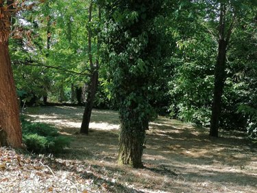 Maison a vendre Descartes 37160 Indre-et-Loire 91 m2 4 pièces 138600 euros