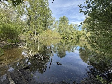 Terrains de loisirs bois etangs a vendre Daours 80800 Somme 7080 m2  28000 euros