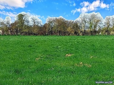 Terrain a batir a vendre Barquet 27170 Eure 1737 m2  30000 euros