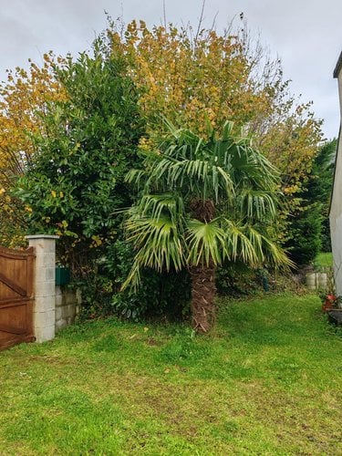 Maison a vendre Le Cloître-Saint-Thégonnec 29410 Finistère 53 m2 3 pièces 115940 euros