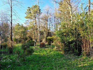 Maison a vendre Lescouët-Gouarec 22570 Côtes-d'Armor 61 m2 4 pièces 84850 euros