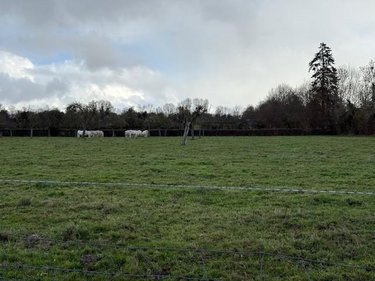 Terrains de loisirs bois etangs a vendre Livarot-Pays-d'Auge 14140 Calvados 20000 m2  53000 euros