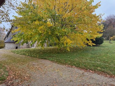 Maison a vendre Noues de Sienne 14380 Calvados 133 m2 5 pièces 169540 euros