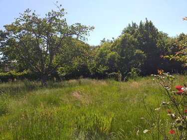 Maison a vendre Plescop 56890 Morbihan 106 m2 7 pièces 413372 euros