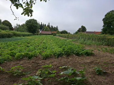 Maison a vendre Ligny-lès-Aire 62960 Pas-de-Calais 87 m2 4 pièces 205920 euros