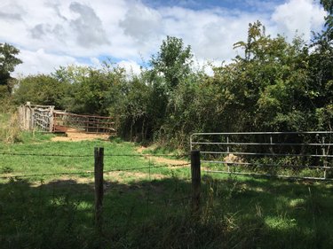 Terrains de loisirs bois etangs a vendre Chevillé 72350 Sarthe 56080 m2  31030 euros