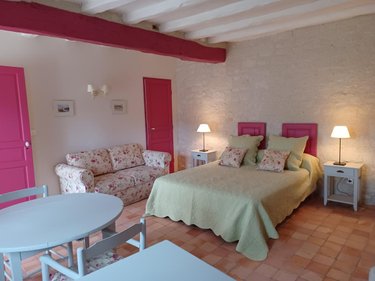 Maison a vendre Chinon 37500 Indre-et-Loire 250 m2  472250 euros