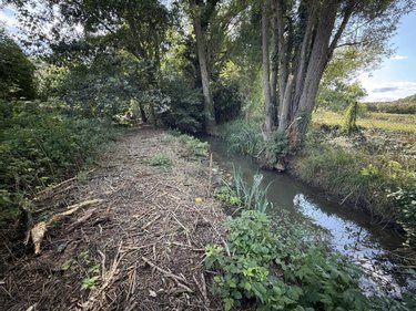 Terrain a batir a vendre Saint-Euphraise-et-Clairizet 51390 Marne 2478 m2  75000 euros