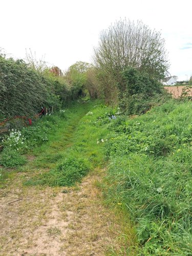 Terrain a batir a vendre Quettehou 50630 Manche 5539 m2  333536 euros