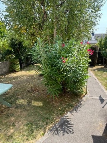 Maison a vendre Lanester 56600 Morbihan 72 m2 4 pièces 239576 euros