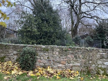 Maison a vendre Vannes 56000 Morbihan 118 m2 6 pièces 447200 euros